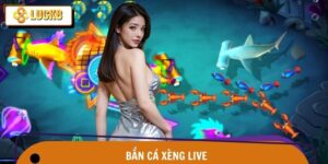 Bắn Cá Xèng Live – Cá Lượn Sóng Vàng, Xu Về Rộn Ràng Luck8