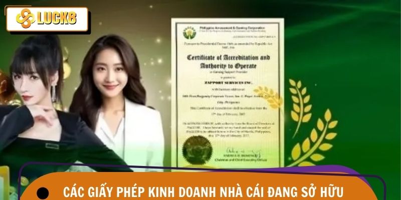 Giấy Phép Kinh Doanh 3 Hệ thống giấy phép đa quốc gia giúp tạo pháp lý vững chắc